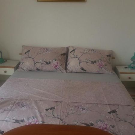 Apartmani Royal Zganec 茨里克韦尼察 外观 照片